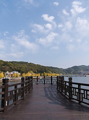 포토 JPG 주간 나무 구름 하늘 한국 풍경 사람없음 야외 경상북도 낙동강 안동 가교 월영교 국내포토 자연요소 식물 건축물 아시아 강 다리_건축물 경상도 파일형식 구미