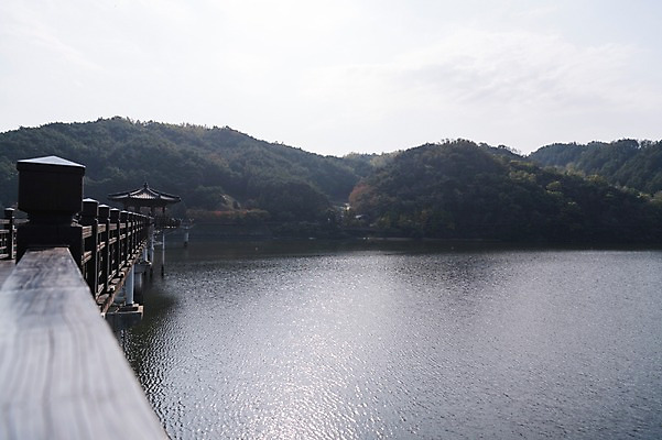 포토 JPG 주간 나무 산 한국 풍경 사람없음 야외 경상북도 낙동강 안동 가교 월영교 국내포토 자연요소 식물 건축물 아시아 강 다리_건축물 경상도 파일형식 구미