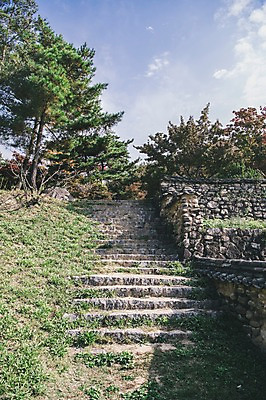포토 JPG 주간 나무 하늘 한국 풍경 사람없음 야외 계단 경상북도 안동 기와담장 군자마을 국내포토 자연요소 식물 아시아 기와 담장 마을 경상도 파일형식