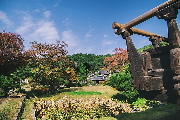 포토 JPG 주간 나무 전통 하늘 한옥 풍경 근접촬영 사람없음 야외 경상북도 안동 군자마을 국내포토 자연요소 식물 한국전통 뷰포인트 고건축 마을 경상도 파일형식