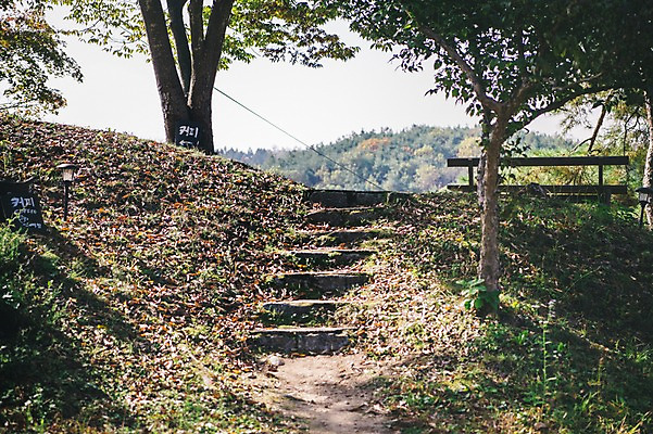 포토 JPG 주간 나무 전통 벤치 한옥 풍경 사람없음 야외 아웃포커스 계단 경상북도 안동 군자마을 국내포토 자연요소 식물 한국전통 고건축 의자 촬영기법 마을 경상도 파일형식