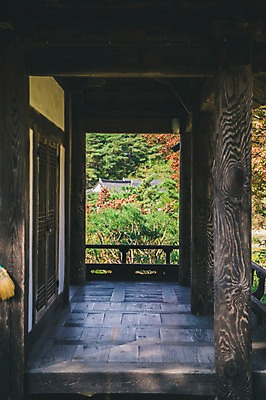 포토 JPG 주간 나무 전통 한옥 풍경 사람없음 야외 대청 경상북도 안동 군자마을 국내포토 자연요소 식물 한국전통 고건축 마을 경상도 파일형식