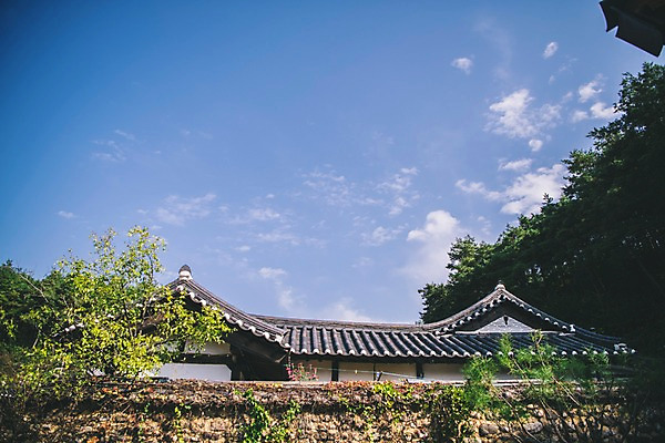 포토 JPG 주간 나무 구름 전통 하늘 한옥 풍경 사람없음 야외 담장 경상북도 안동 군자마을 국내포토 자연요소 식물 한국전통 고건축 마을 경상도 파일형식