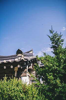 포토 JPG 주간 나무 구름 전통 하늘 지붕 한옥 풍경 사람없음 야외 경상북도 안동 군자마을 국내포토 자연요소 식물 한국전통 고건축 마을 경상도 파일형식