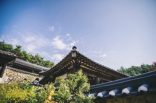 포토 JPG 주간 나무 구름 전통 하늘 지붕 한옥 풍경 사람없음 야외 경상북도 안동 군자마을 국내포토 자연요소 식물 한국전통 고건축 마을 경상도 파일형식