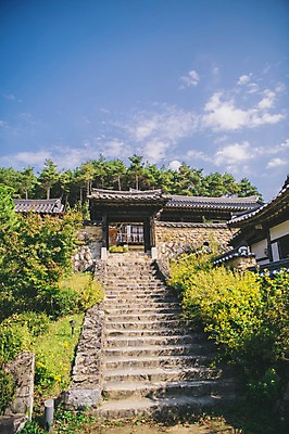 포토 JPG 주간 나무 구름 전통 하늘 한옥 풍경 사람없음 야외 계단 경상북도 대문 안동 군자마을 국내포토 자연요소 식물 한국전통 고건축 문 마을 경상도 파일형식