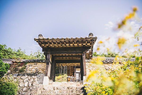 포토 JPG 주간 나무 전통 꽃 하늘 한옥 풍경 사람없음 야외 아웃포커스 경상북도 대문 안동 군자마을 국내포토 자연요소 식물 한국전통 고건축 촬영기법 문 마을 경상도 파일형식