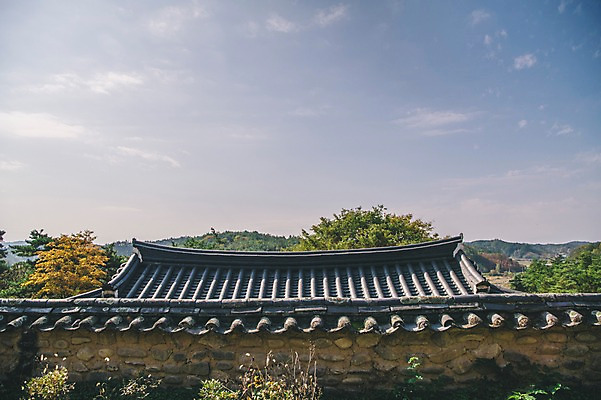 포토 JPG 주간 나무 구름 전통 하늘 지붕 한옥 풍경 사람없음 야외 경상북도 안동 기와담장 군자마을 국내포토 자연요소 식물 한국전통 고건축 기와 담장 마을 경상도 파일형식