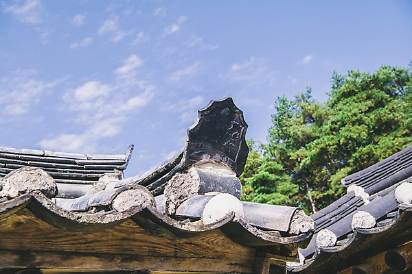 포토 JPG 주간 나무 전통 하늘 한옥 풍경 사람없음 야외 경상북도 처마 기와지붕 안동 군자마을 국내포토 자연요소 식물 한국전통 고건축 지붕 기와 마을 경상도 파일형식