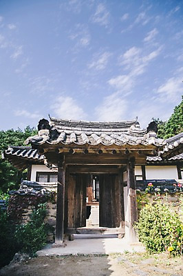 포토 JPG 주간 나무 구름 전통 하늘 한옥 풍경 사람없음 야외 담장 경상북도 대문 안동 군자마을 국내포토 자연요소 식물 한국전통 고건축 문 마을 경상도 파일형식