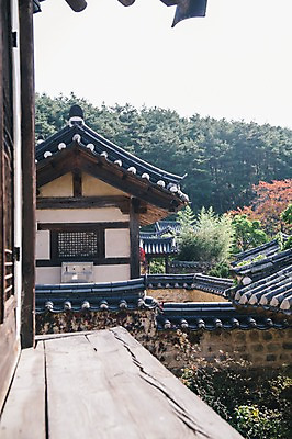 포토 JPG 주간 나무 전통 한옥 풍경 사람없음 야외 대청 경상북도 안동 기와담장 군자마을 국내포토 자연요소 식물 한국전통 고건축 기와 담장 마을 경상도 파일형식