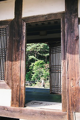 포토 JPG 주간 나무 전통 한옥 풍경 사람없음 야외 문 경상북도 안동 군자마을 국내포토 자연요소 식물 한국전통 고건축 마을 경상도 파일형식