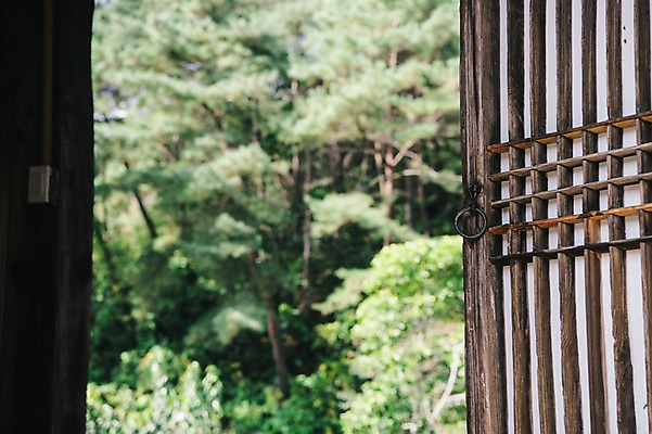 포토 JPG 주간 나무 전통 한옥 풍경 사람없음 야외 아웃포커스 문 경상북도 문고리 안동 군자마을 국내포토 자연요소 식물 한국전통 고건축 촬영기법 마을 경상도 파일형식