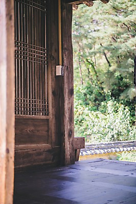 포토 JPG 주간 나무 전통 한옥 풍경 사람없음 야외 아웃포커스 마루 경상북도 안동 군자마을 국내포토 자연요소 식물 한국전통 고건축 바닥 촬영기법 마을 경상도 파일형식