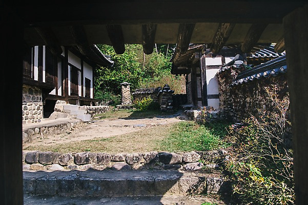 포토 JPG 주간 나무 전통 한옥 그림자 풍경 사람없음 야외 경상북도 안동 군자마을 국내포토 자연요소 식물 한국전통 고건축 마을 경상도 파일형식