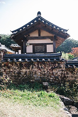 포토 JPG 주간 전통 한옥 풍경 사람없음 야외 잡초 경상북도 안동 기와담장 군자마을 국내포토 자연요소 식물 한국전통 고건축 기와 담장 마을 경상도 파일형식