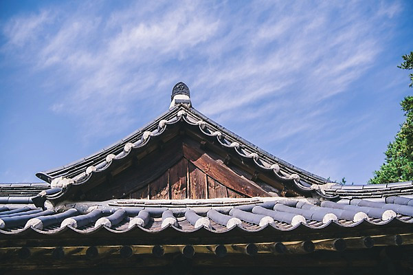 포토 JPG 주간 전통 하늘 한옥 풍경 사람없음 야외 경상북도 기와지붕 안동 군자마을 국내포토 자연요소 한국전통 고건축 지붕 기와 마을 경상도 파일형식