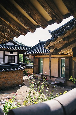 포토 JPG 주간 전통 꽃 한옥 풍경 사람없음 야외 아웃포커스 경상북도 안동 기와담장 군자마을 국내포토 자연요소 식물 한국전통 고건축 촬영기법 기와 담장 마을 경상도 파일형식