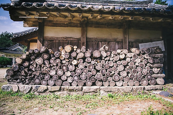 포토 JPG 주간 전통 한옥 풍경 사람없음 야외 장작 경상북도 안동 군자마을 국내포토 자연요소 한국전통 고건축 마을 경상도 파일형식