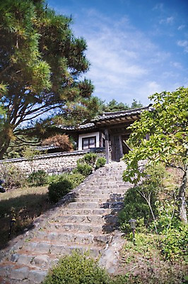 포토 JPG 주간 나무 전통 하늘 한옥 풍경 사람없음 야외 계단 경상북도 안동 군자마을 국내포토 자연요소 식물 한국전통 고건축 마을 경상도 파일형식