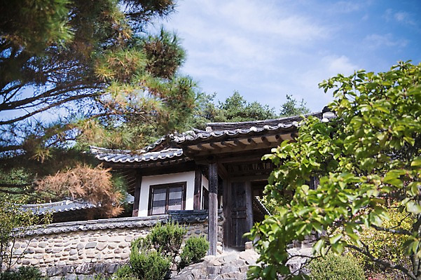 포토 JPG 주간 나무 전통 하늘 한옥 풍경 사람없음 야외 아웃포커스 경상북도 안동 군자마을 국내포토 자연요소 식물 한국전통 고건축 촬영기법 마을 경상도 파일형식