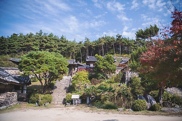 포토 JPG 주간 나무 구름 전통 하늘 한옥 풍경 사람없음 야외 계단 경상북도 안동 군자마을 국내포토 자연요소 식물 한국전통 고건축 마을 경상도 파일형식