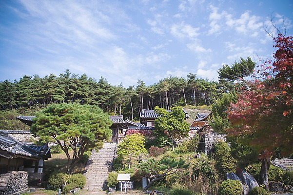 포토 JPG 주간 나무 구름 전통 하늘 한옥 풍경 사람없음 야외 계단 경상북도 안동 군자마을 국내포토 자연요소 식물 한국전통 고건축 마을 경상도 파일형식