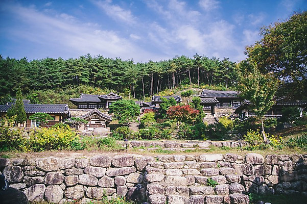 포토 JPG 주간 나무 구름 전통 하늘 한옥 풍경 사람없음 야외 계단 경상북도 안동 군자마을 국내포토 자연요소 식물 한국전통 고건축 마을 경상도 파일형식