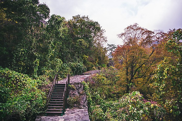 포토 JPG 주간 나무 길 한국 풍경 사람없음 야외 계단 경상북도 봉화 청량산 국내포토 자연요소 식물 아시아 산 경상도 파일형식