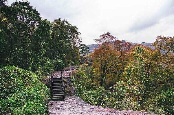 포토 JPG 주간 나무 길 한국 풍경 사람없음 야외 계단 경상북도 봉화 청량산 국내포토 자연요소 식물 아시아 산 경상도 파일형식