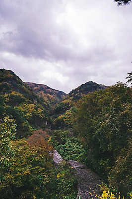 포토 JPG 주간 나무 길 하늘 산 한국 풍경 사람없음 야외 경상북도 봉화 청량산 국내포토 자연요소 식물 아시아 경상도 파일형식