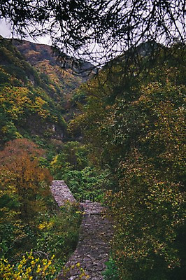 포토 JPG 주간 나무 길 산 한국 풍경 사람없음 야외 아웃포커스 경상북도 봉화 청량산 국내포토 자연요소 식물 아시아 촬영기법 경상도 파일형식