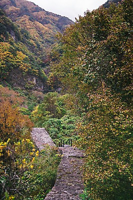 포토 JPG 주간 나무 길 산 한국 풍경 사람없음 야외 아웃포커스 경상북도 봉화 청량산 국내포토 자연요소 식물 아시아 촬영기법 경상도 파일형식