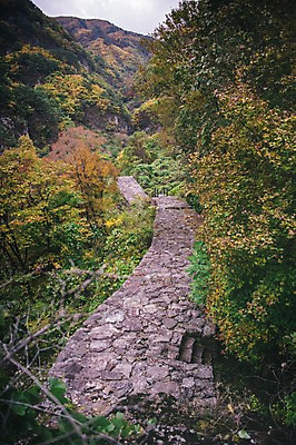 포토 JPG 주간 나무 길 산 한국 풍경 사람없음 야외 계단 경상북도 봉화 청량산 국내포토 자연요소 식물 아시아 경상도 파일형식