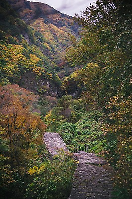 포토 JPG 주간 나무 길 산 한국 풍경 사람없음 야외 경상북도 봉화 청량산 국내포토 자연요소 식물 아시아 경상도 파일형식