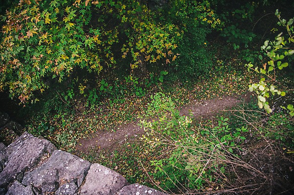 포토 JPG 주간 나무 한국 풍경 사람없음 야외 하이앵글 바위 풀 경상북도 봉화 청량산 국내포토 자연요소 식물 아시아 뷰포인트 산 돌_바위 경상도 파일형식