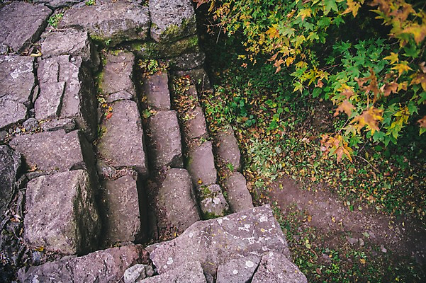 포토 JPG 주간 나무 길 한국 풍경 사람없음 야외 하이앵글 계단 경상북도 봉화 청량산 국내포토 자연요소 식물 아시아 뷰포인트 산 경상도 파일형식