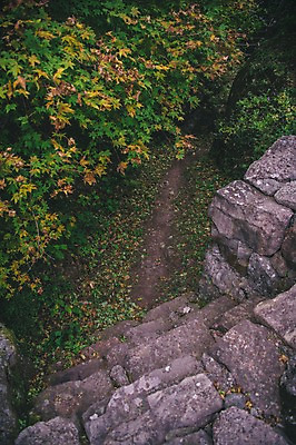 포토 JPG 주간 나무 단풍 한국 풍경 사람없음 야외 하이앵글 계단 경상북도 등산로 봉화 청량산 국내포토 자연요소 식물 아시아 뷰포인트 잎 산 등산 경상도 파일형식