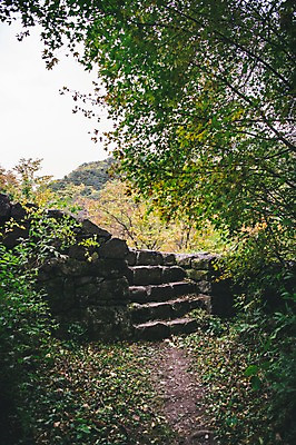 포토 JPG 주간 나무 길 한국 풍경 사람없음 야외 계단 경상북도 봉화 청량산 국내포토 자연요소 식물 아시아 산 경상도 파일형식