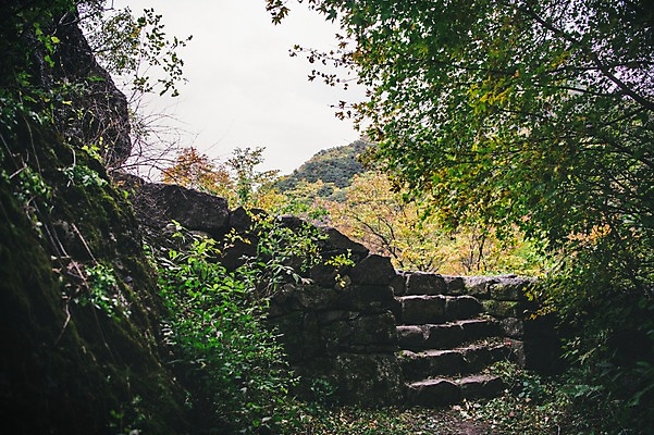 포토 JPG 주간 나무 길 한국 풍경 사람없음 야외 계단 경상북도 봉화 청량산 국내포토 자연요소 식물 아시아 산 경상도 파일형식