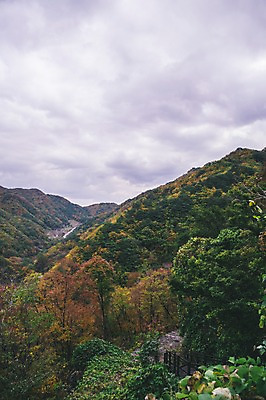 포토 JPG 주간 나무 구름 하늘 산 한국 풍경 사람없음 야외 경상북도 봉화 청량산 국내포토 자연요소 식물 아시아 경상도 파일형식