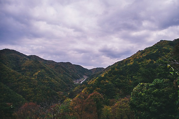 포토 JPG 주간 나무 구름 하늘 산 한국 풍경 사람없음 야외 경상북도 봉화 청량산 국내포토 자연요소 식물 아시아 경상도 파일형식