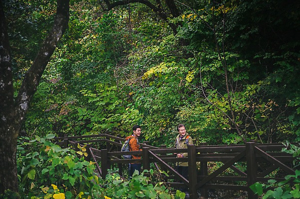 포토 JPG 주간 나무 응시 노년 남자 길 아들 가족 한국 서기 웃음 풍경 상반신 성인 야외 두명 옆모습 30대 등산 한국인 아빠 60대 등산객 경상북도 봉화 부자지간 남자만 청량산 국내포토 자연요소 식물 시선 아시아 뷰포인트 관계 모션 산 표정 사람 동양인 장년 트래킹 경상도 파일형식