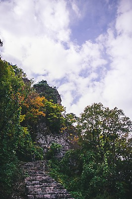 포토 JPG 주간 나무 구름 하늘 한국 풍경 사람없음 야외 계단 절벽 경상북도 봉화 청량산 국내포토 자연요소 식물 아시아 산 경상도 파일형식