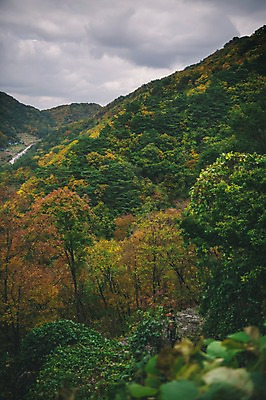 포토 JPG 주간 나무 구름 하늘 산 한국 풍경 사람없음 야외 아웃포커스 경상북도 봉화 청량산 국내포토 자연요소 식물 아시아 촬영기법 경상도 파일형식