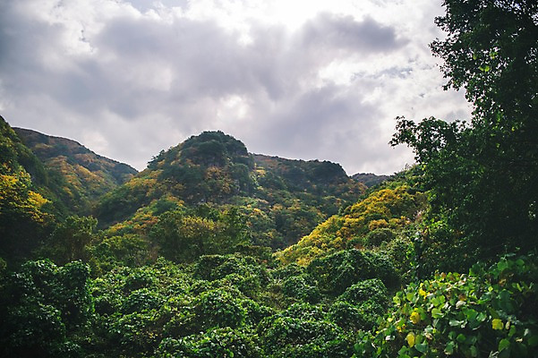 포토 JPG 주간 나무 구름 하늘 산 한국 풍경 사람없음 야외 경상북도 봉화 청량산 국내포토 자연요소 식물 아시아 경상도 파일형식