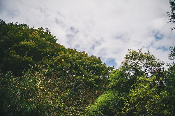 포토 JPG 주간 나무 구름 하늘 산 한국 풍경 사람없음 야외 경상북도 봉화 청량산 국내포토 자연요소 식물 아시아 경상도 파일형식