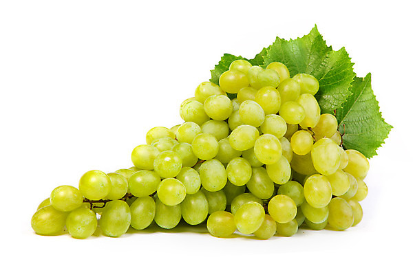 포토 JPG 해외이미지 계절 열매 음식 백그라운드 잎 농업 과일 재료 자연 포도 기술 매달리기 건강 사람없음 가로 세로 초록색 농작물 와인 사진촬영 흰색 신선 달콤 자르기 다발 먹기 유기농 날것 슛 포도나무 멀리 고립 숙성 채식주의자 비건 해외202004 해외포토 식물 웰빙 산업 컬러 모션 주류 촬영 맛 과일나무 생태계 채식 파일형식 이미지허브