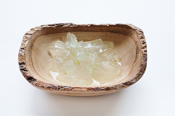 포토 JPG 해외이미지 스튜디오촬영 실내 사람없음 초록색 흰배경 나무그릇 알로에 해외202004 해외포토 식물 그릇 컬러 백그라운드 내부 목재 흰색 파일형식 이미지허브