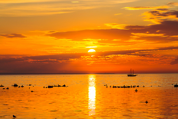 포토 JPG 해외이미지 호수 물결 파도 여행 이동 요트 조류 동화 바람 휴식 요정 항해 이야기 사람없음 물 태양 반사 노란색 파티 일출 일몰 꿈 도시 보트 황금 큼 신비 승무원 무역 상업 공상 스카이라인 옛날 해외202004 해외포토 자연요소 동물 직업 산업 바다 컬러 컨셉 배_교통 날씨 이벤트 노을 크기 파일형식 이미지허브